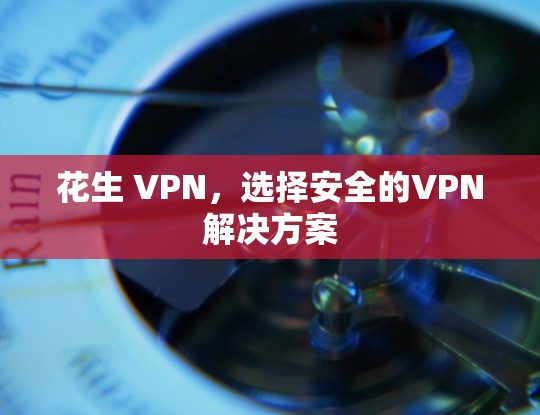花生 VPN，选择安全的VPN解决方案
