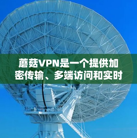 蘑菇VPN是一个提供加密传输、多端访问和实时聊天功能的VPN服务，适合需要安全、高效数据传输的用户。以下是详细的使用指南