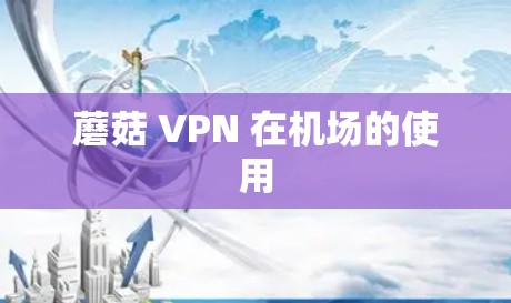 蘑菇 VPN 在机场的使用