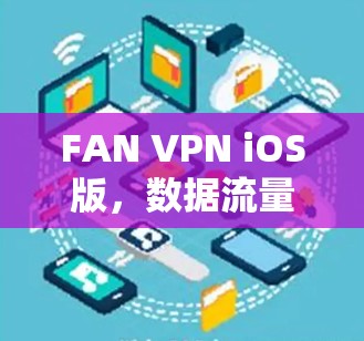 FAN VPN iOS版，数据流量实时保障，网络安全保障专家