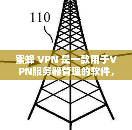 蜜蜂 VPN 是一款用于VPN服务器管理的软件，主要用于管理多个服务器的配置、监控、安全等。以下是关于蜜蜂 VPN 的一些关键信息
