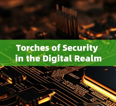 Torches of Security in the Digital Realm