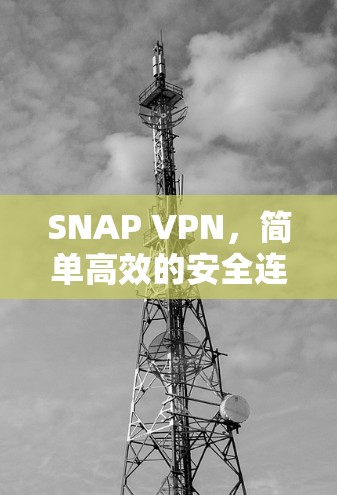 SNAP VPN，简单高效的安全连接