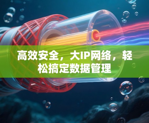 高效安全，大IP网络，轻松搞定数据管理