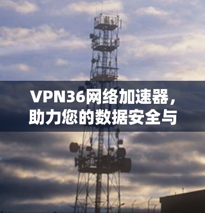 VPN36网络加速器，助力您的数据安全与效率提升