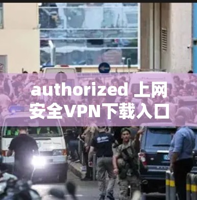 authorized 上网安全VPN下载入口