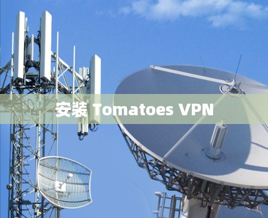 安装 Tomatoes VPN