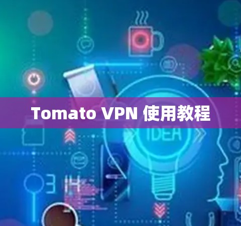 Tomato VPN 使用教程