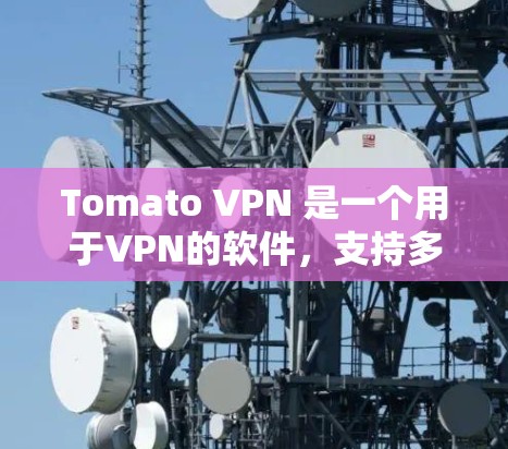 Tomato VPN 是一个用于VPN的软件，支持多种端口和配置方式。以下是配置Tomato VPN 的教程