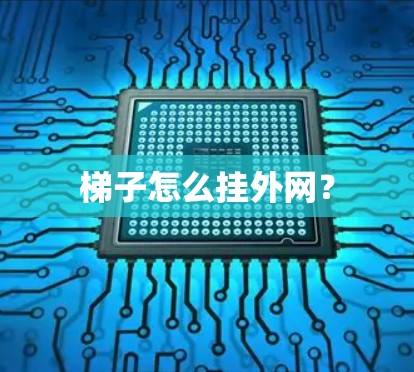 梯子怎么挂外网？