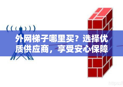 外网梯子哪里买？选择优质供应商，享受安心保障