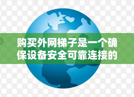 购买外网梯子是一个确保设备安全可靠连接的关键步骤。以下是一个清晰、有条理的购买指南，帮助您轻松完成这一过程