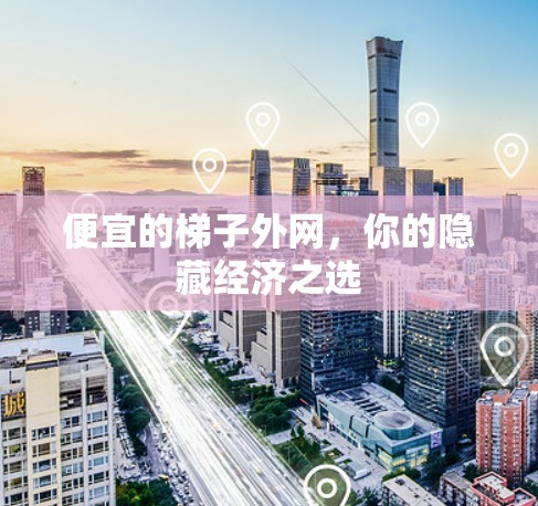 便宜的梯子外网，你的隐藏经济之选