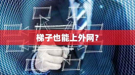 梯子也能上外网？