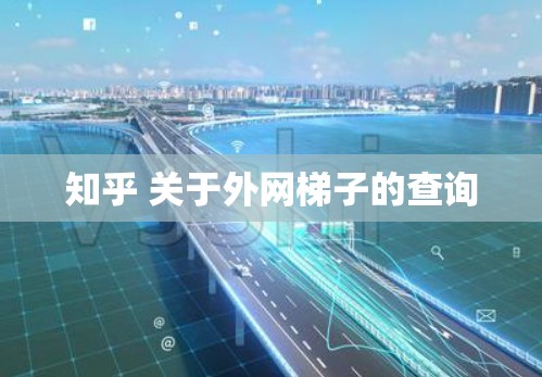 知乎 关于外网梯子的查询