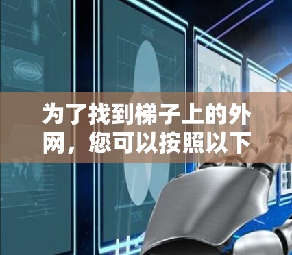 为了找到梯子上的外网，您可以按照以下步骤进行