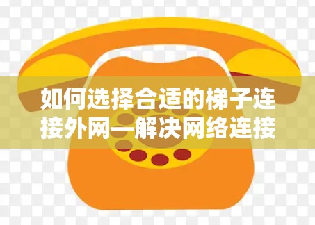 如何选择合适的梯子连接外网—解决网络连接问题的实用指南