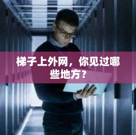梯子上外网，你见过哪些地方？