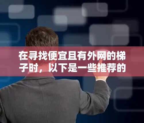 在寻找便宜且有外网的梯子时，以下是一些推荐的选项，这些梯子通常价格适中，同时具有良好的外网设计，适合家庭使用