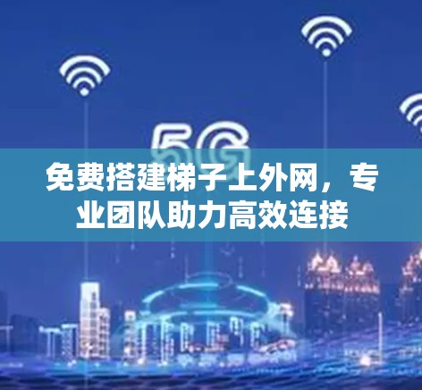 免费搭建梯子上外网，专业团队助力高效连接