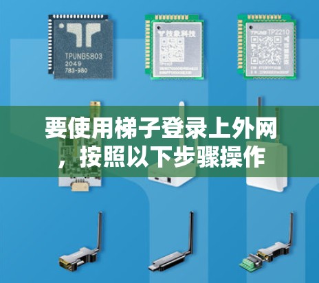 要使用梯子登录上外网，按照以下步骤操作