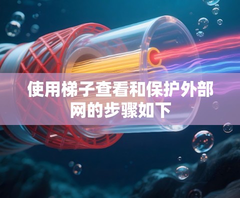 使用梯子查看和保护外部网的步骤如下