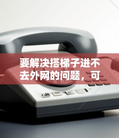 要解决搭梯子进不去外网的问题，可以按照以下步骤进行