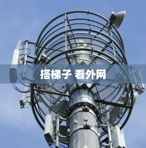 搭梯子 看外网