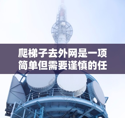 爬梯子去外网是一项简单但需要谨慎的任务。以下是一些步骤的指南，帮助您安全地进行
