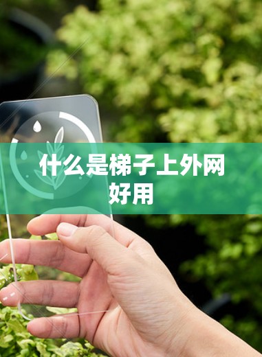 什么是梯子上外网好用