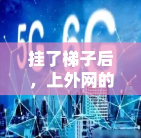 挂了梯子后，上外网的步骤如下