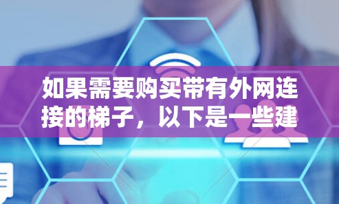 如果需要购买带有外网连接的梯子，以下是一些建议