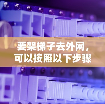 要架梯子去外网，可以按照以下步骤进行