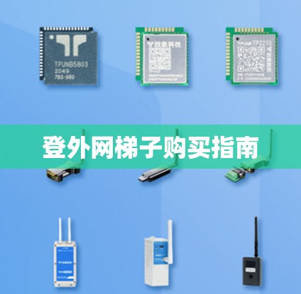 登外网梯子购买指南