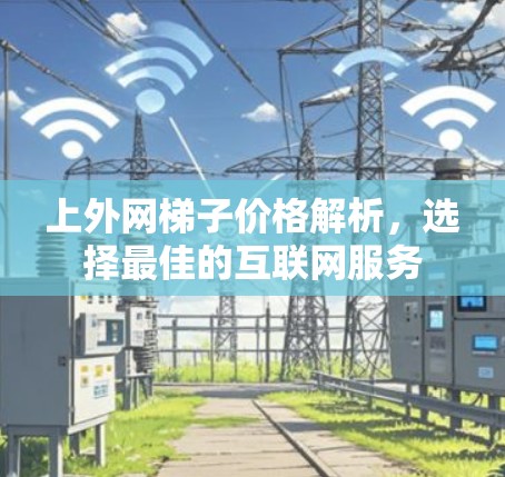 上外网梯子价格解析，选择最佳的互联网服务