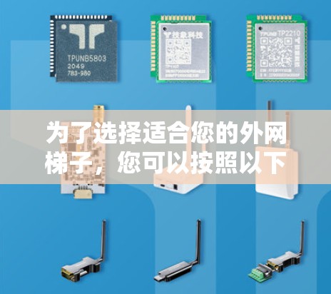 为了选择适合您的外网梯子，您可以按照以下步骤进行