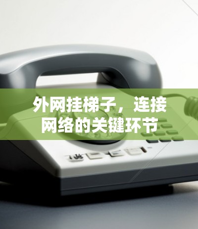 外网挂梯子，连接网络的关键环节