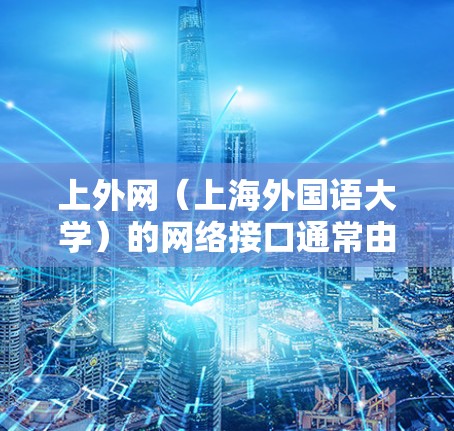 上外网（上海外国语大学）的网络接口通常由特定的连接器或梯子板来连接不同的端口。选择梯子（即连接器）时，应遵循以下原则