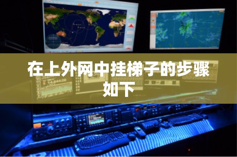 在上外网中挂梯子的步骤如下
