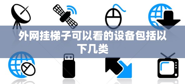 外网挂梯子可以看的设备包括以下几类