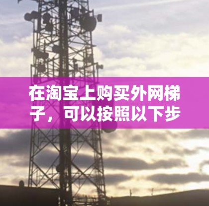 在淘宝上购买外网梯子，可以按照以下步骤进行