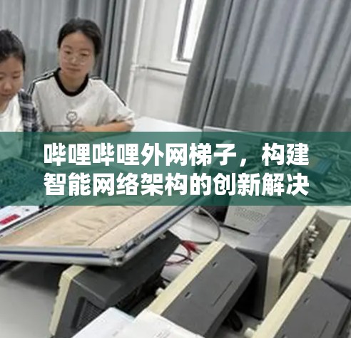 哔哩哔哩外网梯子，构建智能网络架构的创新解决方案