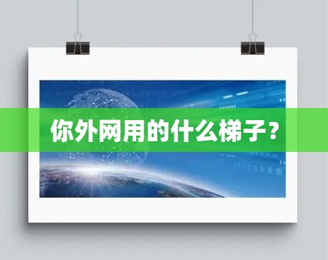 你外网用的什么梯子？