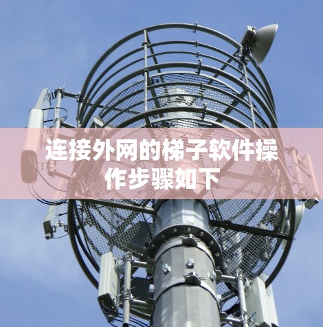连接外网的梯子软件操作步骤如下