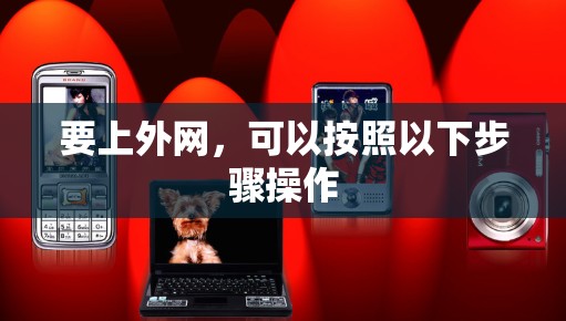 要上外网，可以按照以下步骤操作