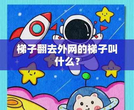 梯子翻去外网的梯子叫什么？