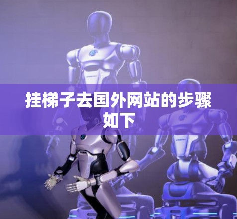 挂梯子去国外网站的步骤如下
