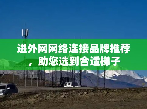 进外网网络连接品牌推荐，助您选到合适梯子