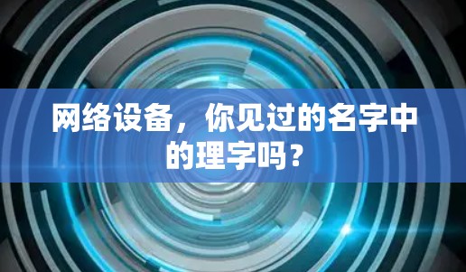 网络设备，你见过的名字中的理字吗？