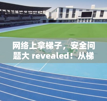 网络上拿梯子，安全问题大 revealed！从梯子到网络，你真的知道吗？